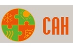 САН